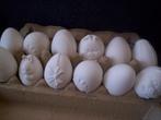 keramiek handgemaakte eieren, Ophalen of Verzenden, Nieuw