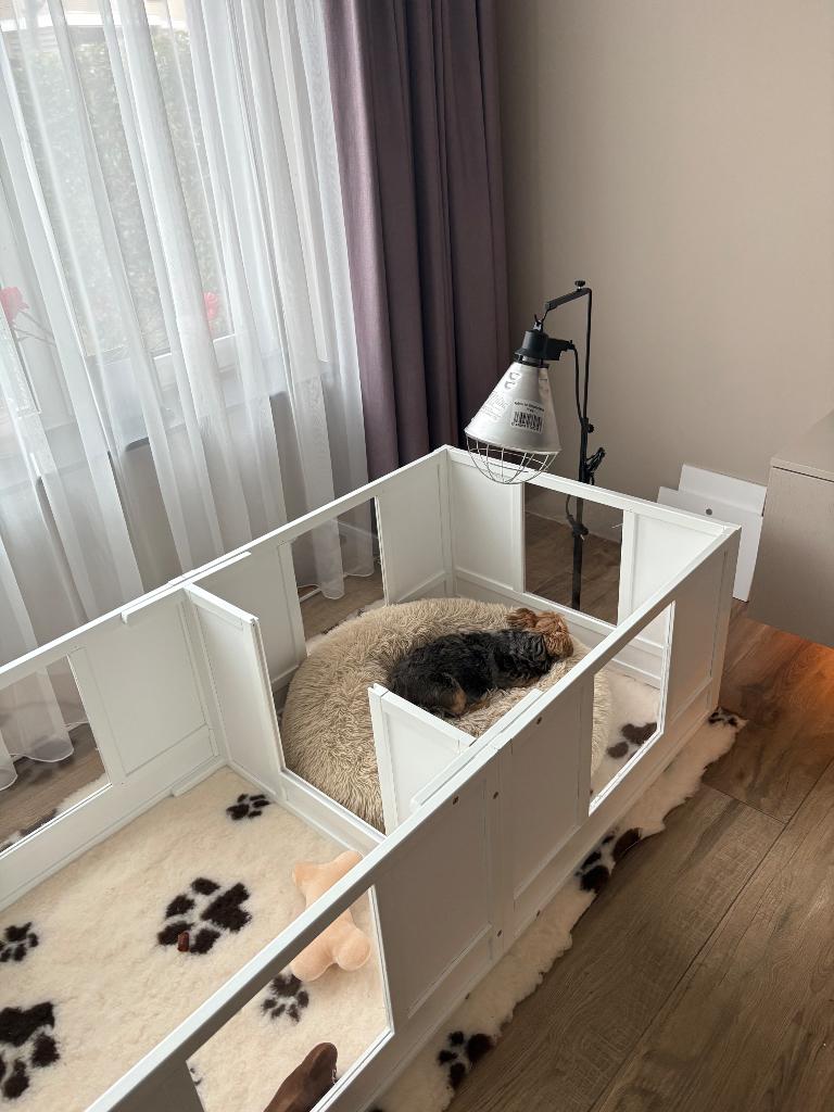 Werpkist Puppy bevallingset, Dieren en Toebehoren, Hondenbenches, Nieuw, Ophalen