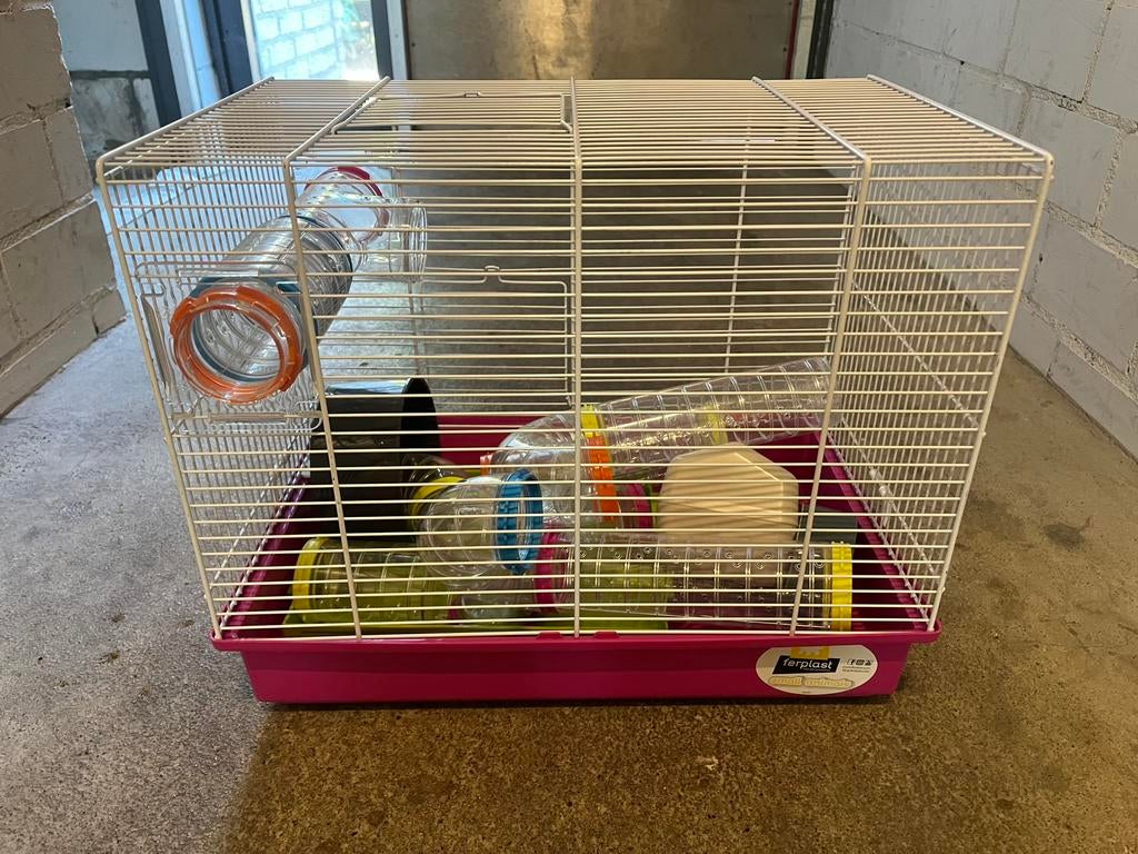 Hamsterkooi, Minder dan 60 cm, Kooi, Ophalen of Verzenden, Muis