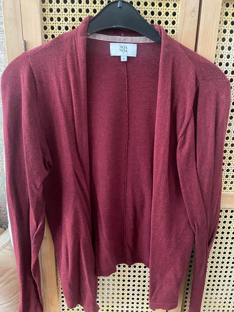 Noa noa vestje maat S, Ophalen of Verzenden, Gedragen, Maat 36 (S), Rood