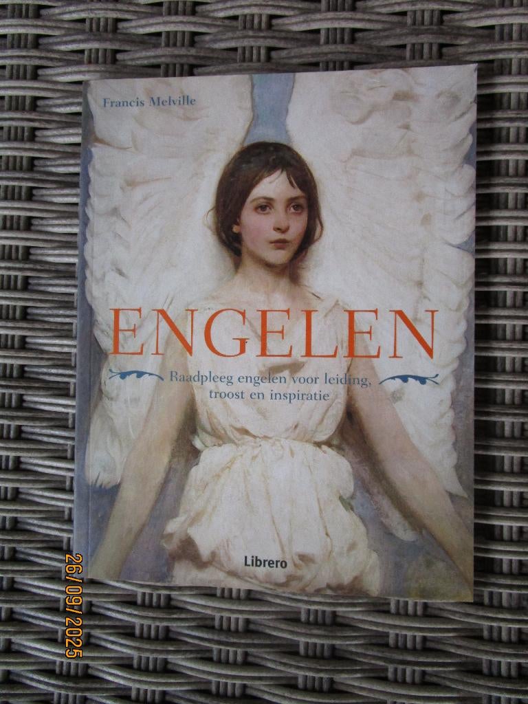 Francis Melville  / Engelen, Boeken, Gelezen, Achtergrond en Informatie, Ophalen of Verzenden, Francis Melville