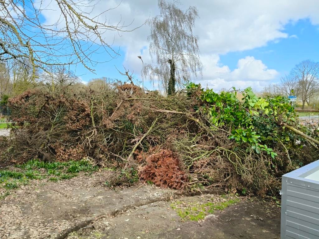Tuinresten/snoeihout, Ophalen of Verzenden
