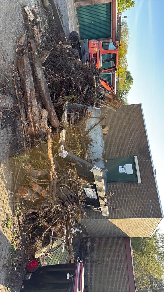 GRATIS TAKKEN BOMEN GROEN, Ophalen of Verzenden, Gebruikt