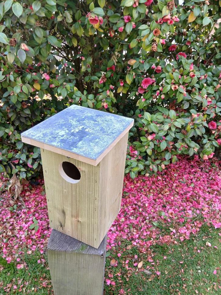 Bosuilenkast, Tuin en Terras, Vogelhuisjes en Vogelbaden, Nieuw, Ophalen of Verzenden