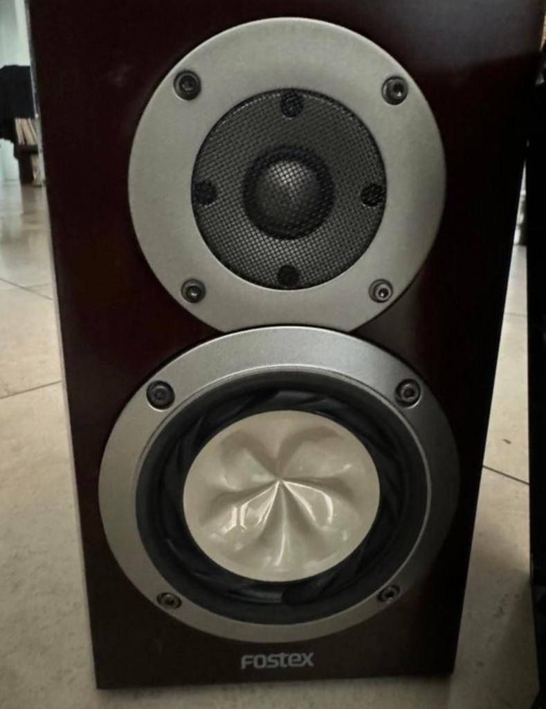 Fostex GX100MA - Compacte luidsprekers met groots geluid, Gebruikt, Minder dan 60 watt, Front, Rear of Stereo speakers, Ophalen