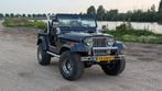 Jeep CJ7 V8 Quadra-Trac automaat 1978, Automaat, Trekhaak, CJ, Leder en Stof