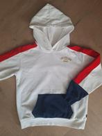 Levi's hoodie, Ophalen of Verzenden, Zo goed als nieuw, Jongen, Trui of Vest