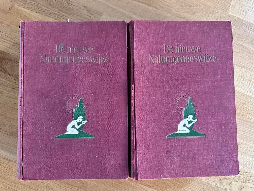 De nieuwe Natuurgeneeswijze - F.E.Bilz 1920, Antiek en Kunst, Ophalen of Verzenden