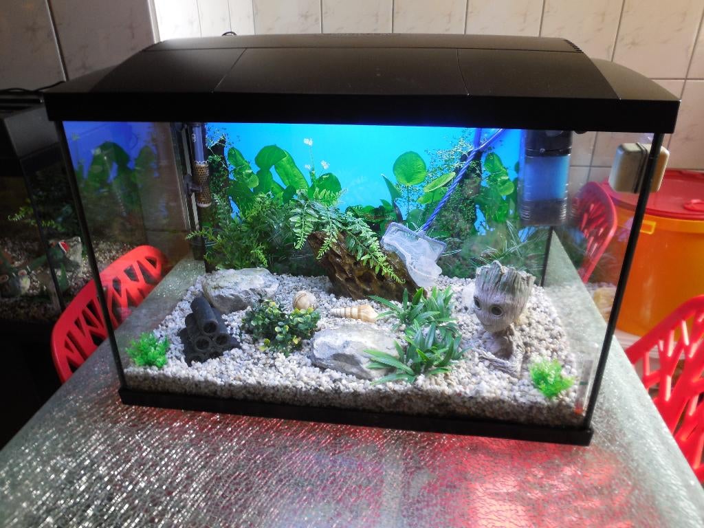 mooie superfish aqua expert 70 multie color led compleet, Ophalen, Inclusief toebehoren, Zo goed als nieuw, Leeg aquarium