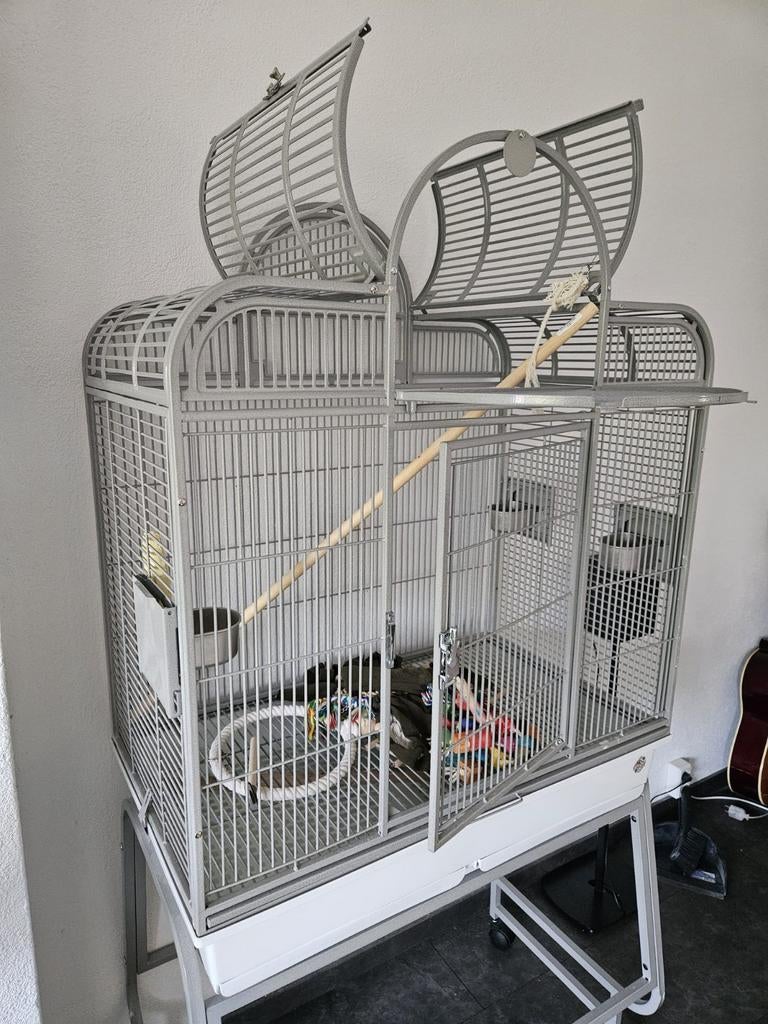 vogelkooi. voor valkparkieten of kleine papagaai, Dieren en Toebehoren, Vogels | Hokken en Kooien, Ophalen, Metaal, Vogelkooi