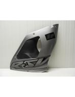 RSV1000R 1998 - 2003 Aprilia Kuipdeel D1-43577