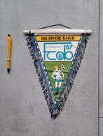 vaantje FC Den Bosch, Ophalen of Verzenden, Gebruikt, Overige binnenlandse clubs, Vaantje of Sjaal