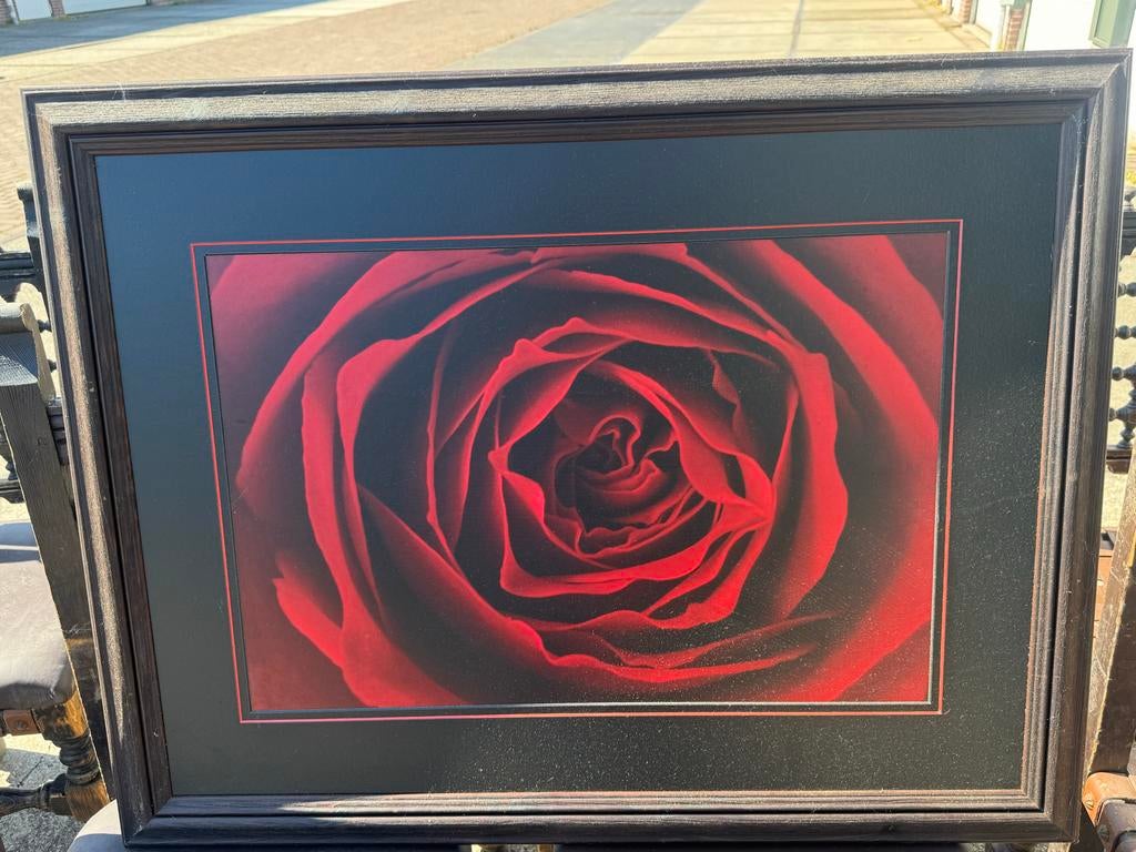 Ingelijste Rode Roos Poster - Ikea Roos Stijl, Gebruikt, 50 tot 75 cm, Ophalen of Verzenden, 75 tot 100 cm