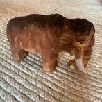 Wudimals mammoet, Ophalen