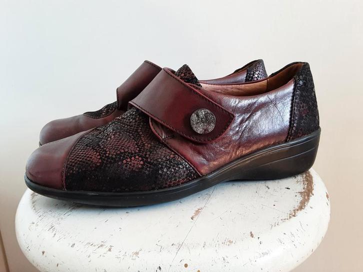 SOLIDUS schoenen maat 7.5 (41) J    bordeaux, Kleding | Dames, Schoenen, Gedragen, Ophalen of Verzenden