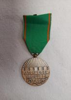 Vrijwilligers Medaille openbare orde en veiligheid, Ophalen of Verzenden, Overige materialen, Nederland