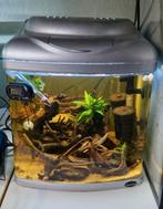 Superfish Aquarium, Dieren en Toebehoren, Vissen | Aquaria en Toebehoren, Ophalen, Zo goed als nieuw, Leeg aquarium