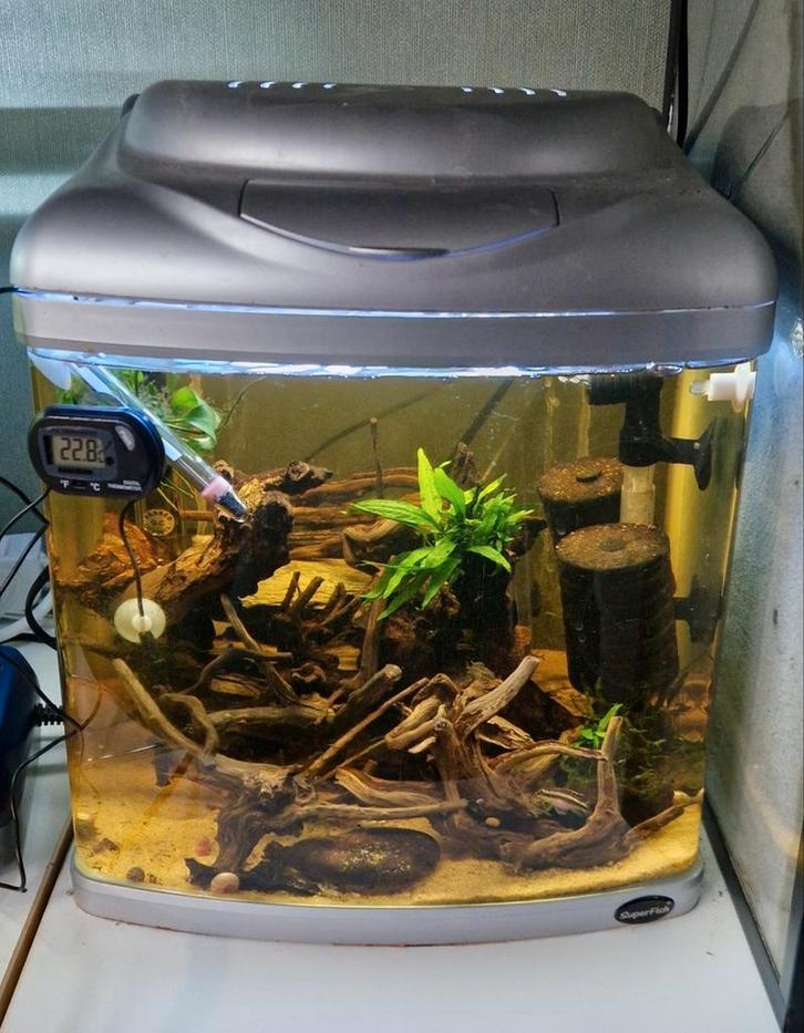 Superfish Aquarium, Dieren en Toebehoren, Vissen | Aquaria en Toebehoren, Zo goed als nieuw, Leeg aquarium, Ophalen