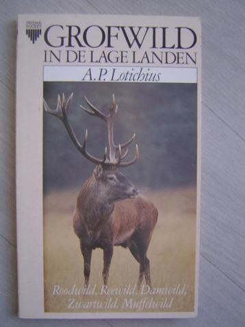 Grofwild in de lage landen  jacht jagen beschikbaar voor biedingen