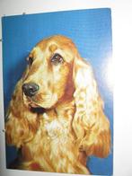 9487 kaart met hond Spaniel, Verzenden, Overige thema's