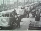 Albert Heijn, Vroom & Dreesman, Smit, Daf en Philips., Hogendoorn, Ophalen of Verzenden, 20e eeuw of later, Gelezen
