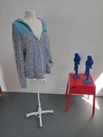 Super leuk hoodie van blutgeschwister zgan, xl, Kleding | Dames, Ophalen, Blauw, Maat 46/48 (XL) of groter, Zo goed als nieuw