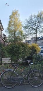 Damesfiets, Ophalen of Verzenden, Overige soorten