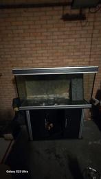 Aquarium met kast, Dieren en Toebehoren, Ophalen of Verzenden, Nieuw, Leeg aquarium