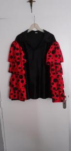 Te koop flamenco kleding., Kleding | Dames, Carnavalskleding en Feestkleding, Gedragen, Carnaval, Maat 38/40 (M), Kleding