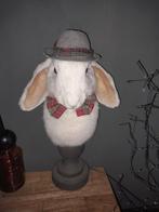 Taxidermie vlaamse reus, Ophalen of Verzenden, Zo goed als nieuw