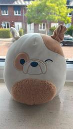 Squismallow brock bulldog, Ophalen of Verzenden, Zo goed als nieuw