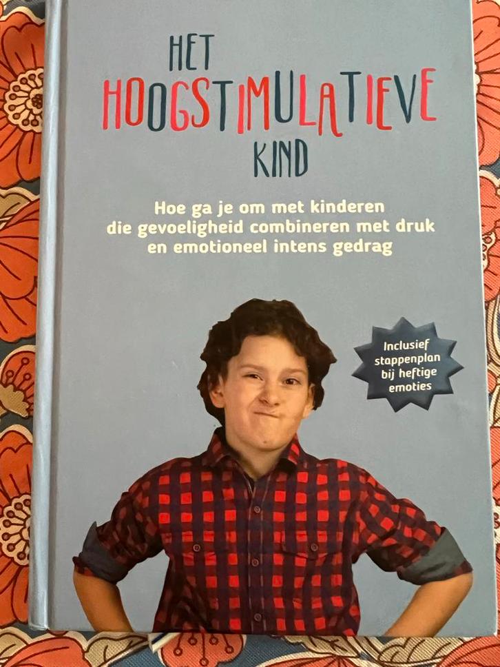 Het Hoogstimulatieve Kind - Opvoeding ZGAN, Boeken, Zwangerschap en Opvoeding, Zo goed als nieuw, Opvoeding tot 6 jaar, Ophalen of Verzenden