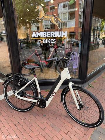 Koga EVIA Pro 625wh accu 2025 Nieuw beschikbaar voor biedingen