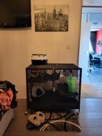 RATTENKOOI + 3 TAMME RATTEN + TOEBEHOREN, Dieren en Toebehoren, Knaagdieren, Rat, Augustus, Mannelijk, Tam