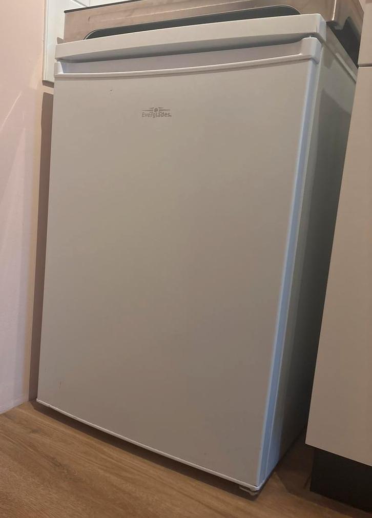 Nette Compacte Everglades Koelkast met Vriesvak, Witgoed en Apparatuur, Koelkasten en IJskasten, Zo goed als nieuw, Met vriesvak