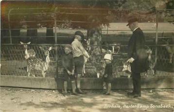 (301-181-029) Arnhem Hertenkamp beschikbaar voor biedingen