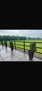 50 meter doorsteek omheining, Dieren en Toebehoren