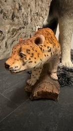Kunststof Wolf - Tuinbeeld 28x66cm, Ophalen of Verzenden, Zo goed als nieuw, Kunststof, Dierenbeeld