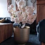 Goudenpot met perzik bloesem bloemen, Ophalen, Zo goed als nieuw