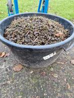 Alpaca mest, schoon en droog, Tuin en Terras, Ophalen of Verzenden, Mest