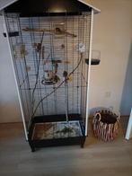 Kooi met Gloster, Dieren en Toebehoren, Ophalen, Metaal, Vogelkooi