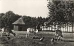 Oud Valkeveen  Hertenkamp, Verzamelen, Verzenden, 1940 tot 1960, Gelopen, Zuid-Holland