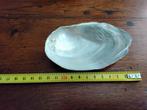 Mooie parelmoere schelp, Verzamelen, Mineralen en Fossielen, Ophalen of Verzenden, Schelp(en)
