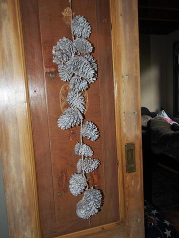 Dennenappels Slinger beschikbaar voor biedingen