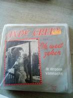 andy green ik weet zeker / ik droom vannacht, Cd's en Dvd's, Vinyl | Nederlandstalig, Overige formaten, Levenslied of Smartlap