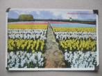 M10 Hollandsche Bloemenvelden, Verzenden, 1920 tot 1940, Ongelopen, Zuid-Holland