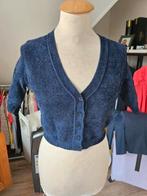 Elisabetta Franchi vest, Ophalen of Verzenden, Zo goed als nieuw, Maat 34 (XS) of kleiner, Elisabetta Franchi