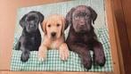 Puzzel hondje puppy High Quality Collection 1000 stukjes, Ophalen of Verzenden, 500 t/m 1500 stukjes, Zo goed als nieuw, Legpuzzel