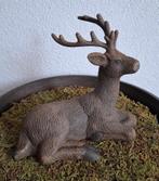 Groot & klein hert, Ophalen of Verzenden, Hert, Gewei of Kop