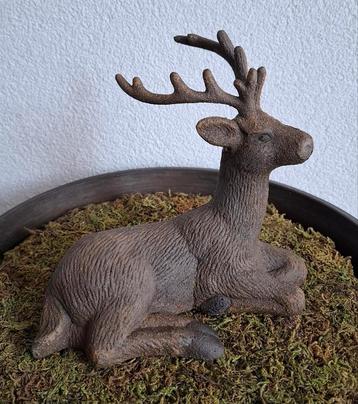 Groot & klein hert beschikbaar voor biedingen